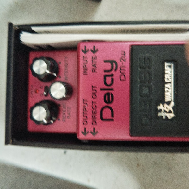 BOSS DM-2Wの画像